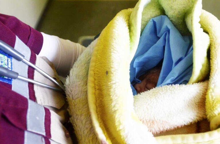 Confirman 51 muertes por tos ferina en México