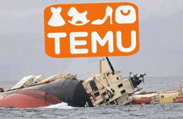 Temu desmiente vínculo con barco naufragado en India: descartan afectación a envíos hacia Colombia