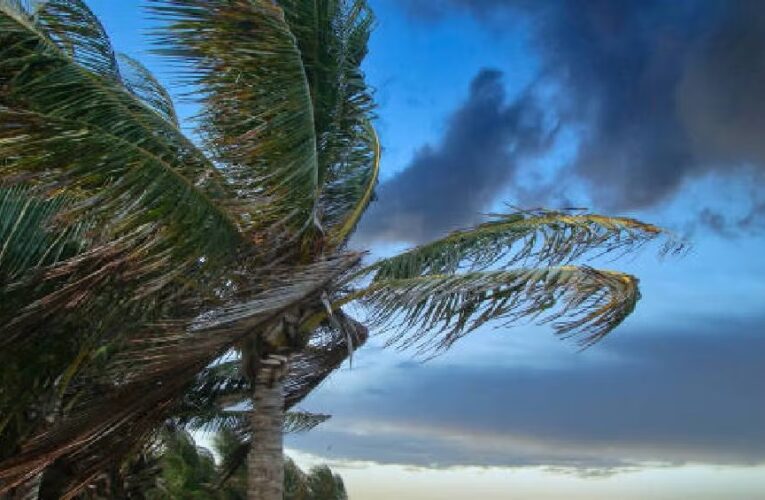 Bárbara y Cosme se acercan a México: podrían formar huracanes y un fenómeno inusual en el Pacífico