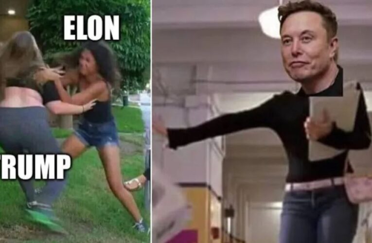 Como en Chicas Pesadas: redes estallan con memes por la pelea entre Elon Musk y Donald Trump