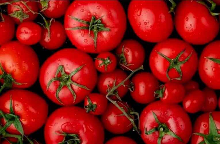 Los aranceles a México “salvarán” a la industria jitomatera de Florida