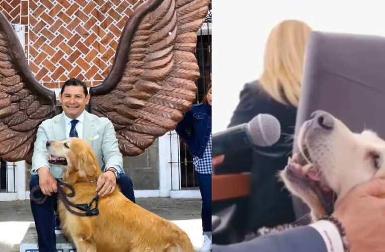 Perro del gobernador de Puebla tiene cargo oficial, programa de TV y “habla” en conferencias