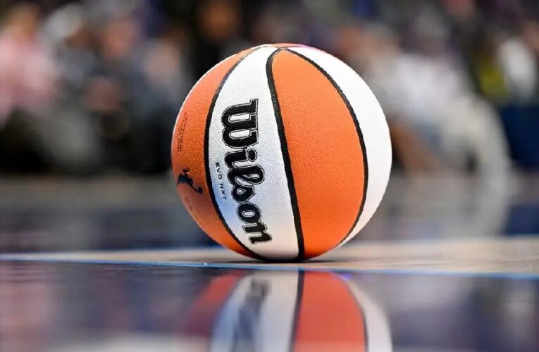 Fan fue arrestado por lanzar un juguete sexual en partido de WNBA