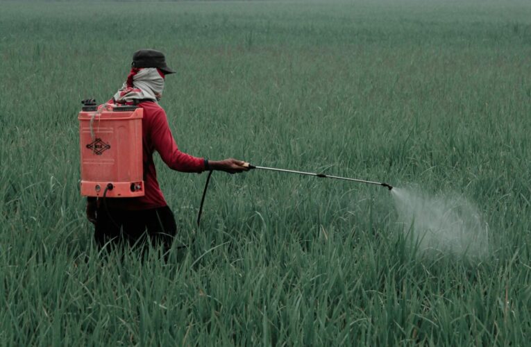 Gobierno de México prohíbe 35 plaguicidas peligrosos