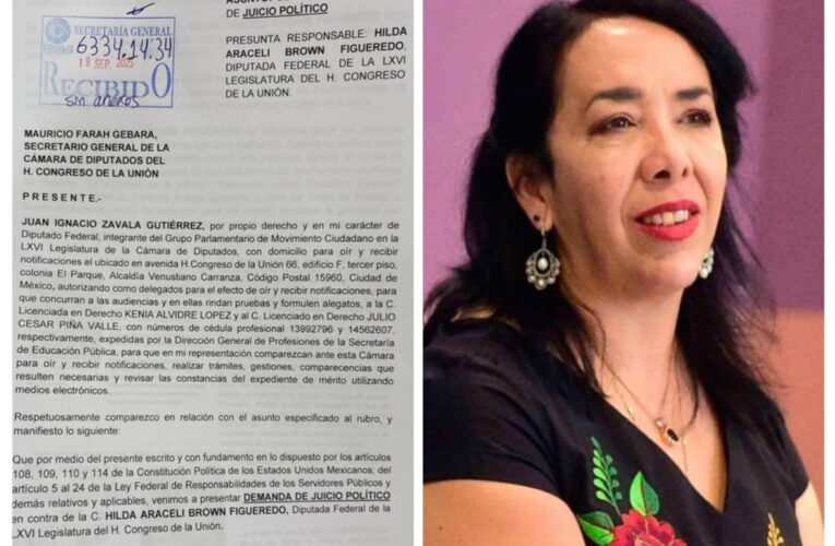 Movimiento Ciudadano presenta demanda de juicio político contra diputada Hilda Araceli Brown