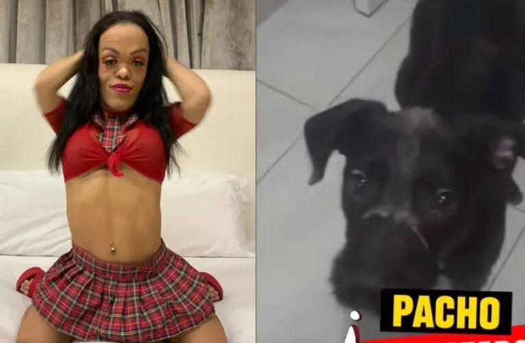 Influencer gōlpēa a perrito con escoba durante transmisión en vivo