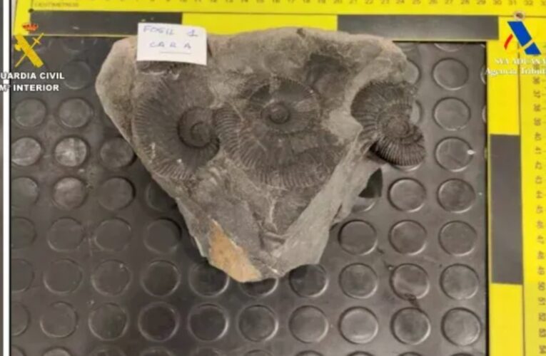 Recuperan en España piezas del patrimonio histórico de México