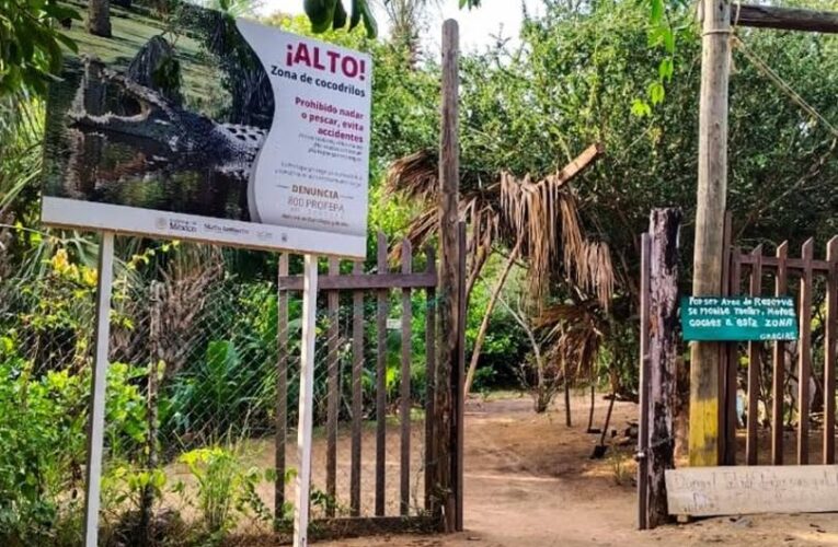 Alertan por presencia de cocodrilos en costa de Oaxaca