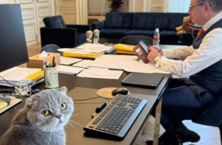El nuevo fenómeno viral de Bélgica tiene cuatro patas y vive con el primer ministro