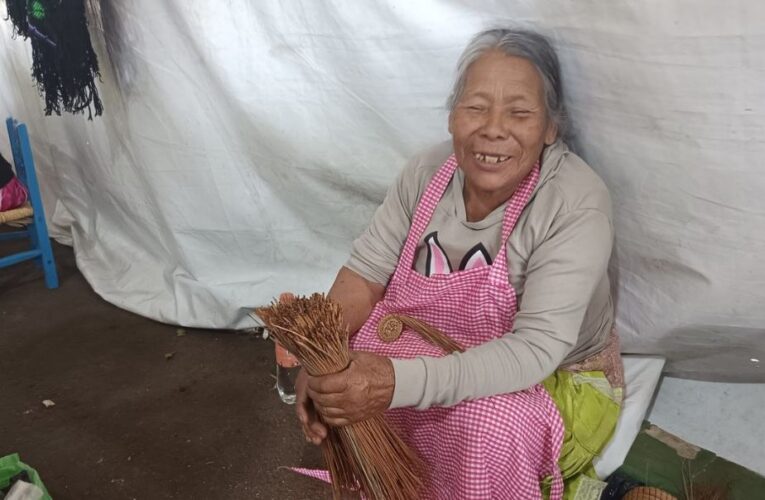 Artesanías de ocochal, maravilla del Oriente michoacano