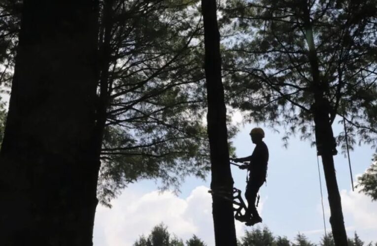 “Bosque Escuela”, educación ambiental con enfoque innovador en el Estado de México