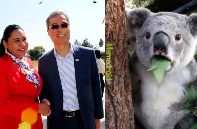 Senadora de Morena dice que Taiwán es parte de México y se vuelve viral