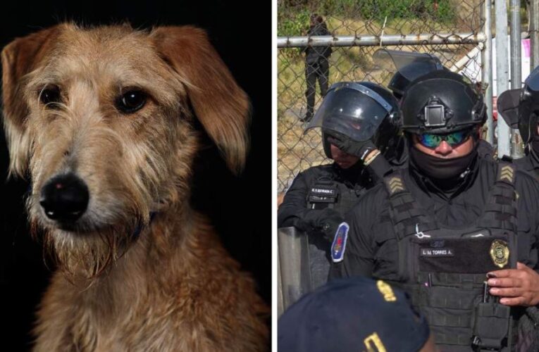 Investigan uso excesivo de fuerza en detención de mujer en centro de Oaxaca