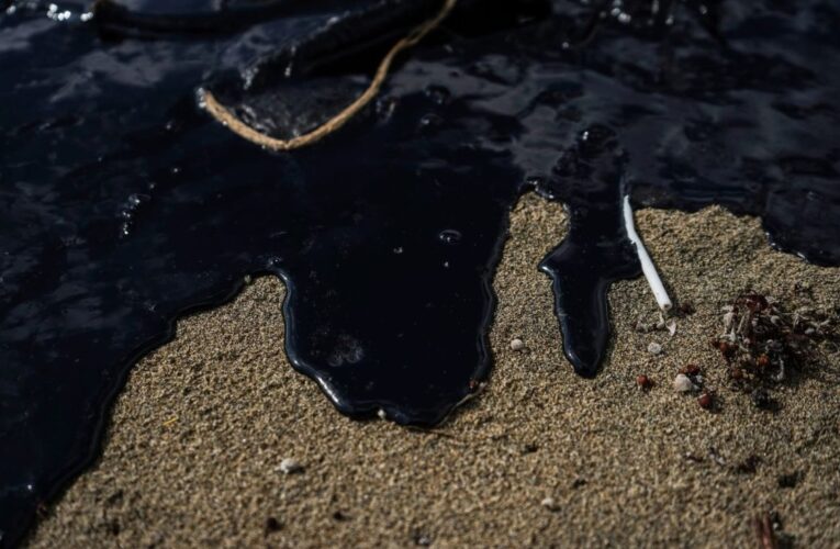 Suman más de 30 toneladas de hidrocarburo recogido de playas de Veracruz