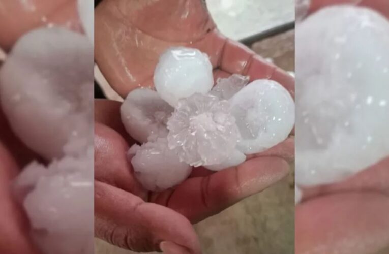 Granizo del tamaño de pelotas de tenis provoca daños en viviendas y cultivos en San Luis de la Paz