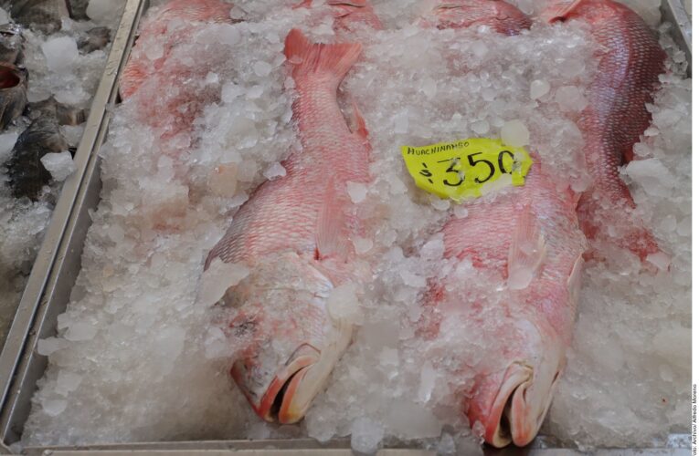 Alertan fraude en peso de pescado importado; hasta 40 % podría ser agua añadida