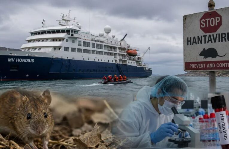 Hantavirus: estos son los países en donde se han registrado más contagios en los últimos años tras alerta por crucero