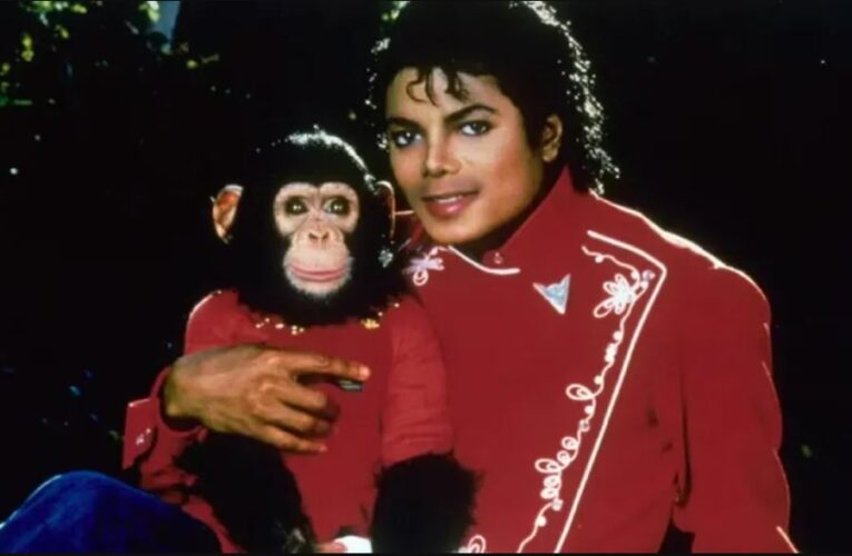 Bubbles, el chimpancé que formó parte de la vida de Michael Jackson