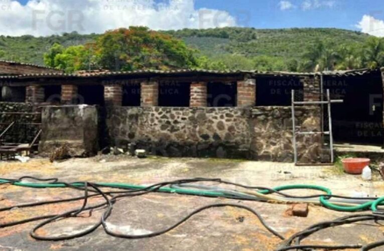 Aseguran casi 18 mil litros de hidrocarburo tras descubrir toma clandestina en Jalisco