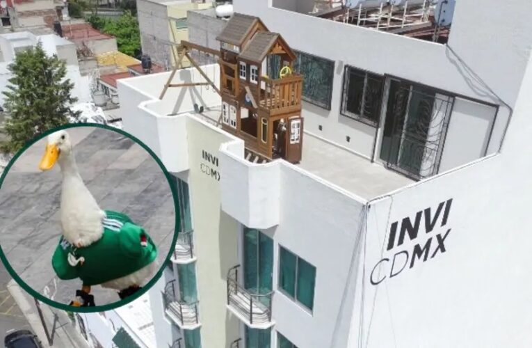 El Pato Merlín cambia las calles del Mundial por una casa nueva