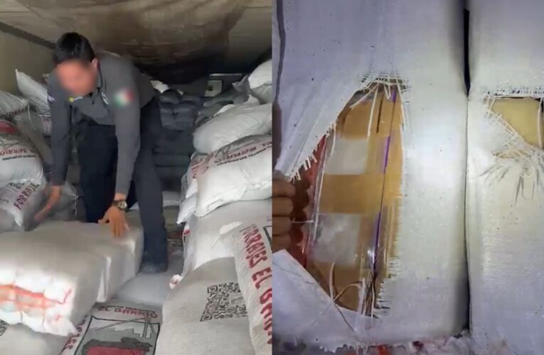 Aseguran más de tres toneladas de metanfetamina ocultas en alimento para ganado en Sonora