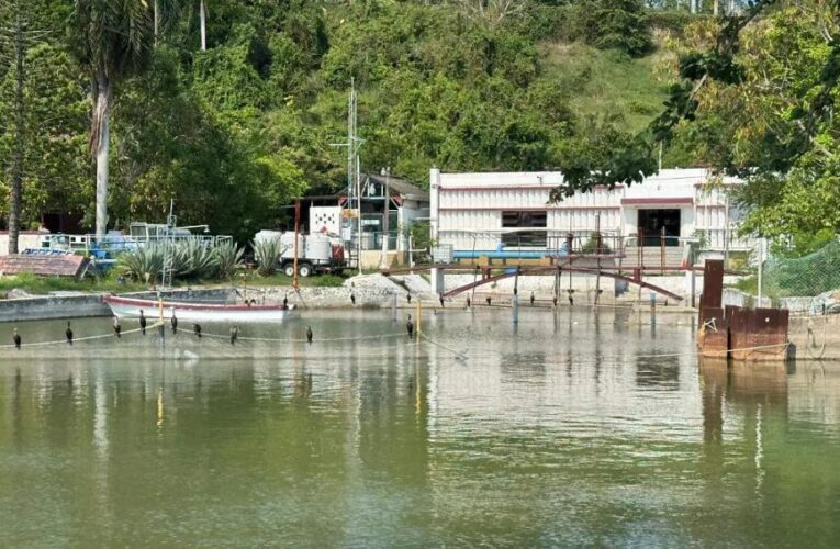 Arranca el Proyecto Génesis, industriales del sur de Tamaulipas buscan reducir la dependencia del sistema lagunario