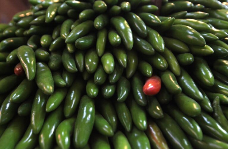 Retiran productos con jalapeño mexicano en EU por salmonela