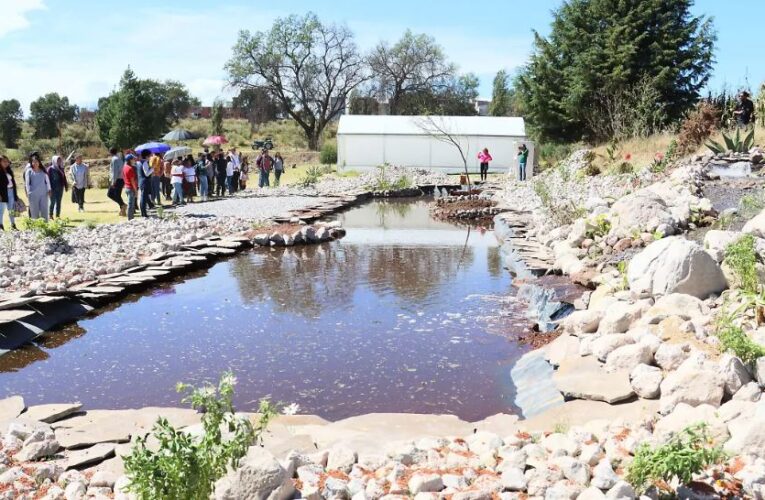 Festival Etnobiológico Tlaxcalan: conoce plantas, hongos y saberes tradicionales de Tlaxcala