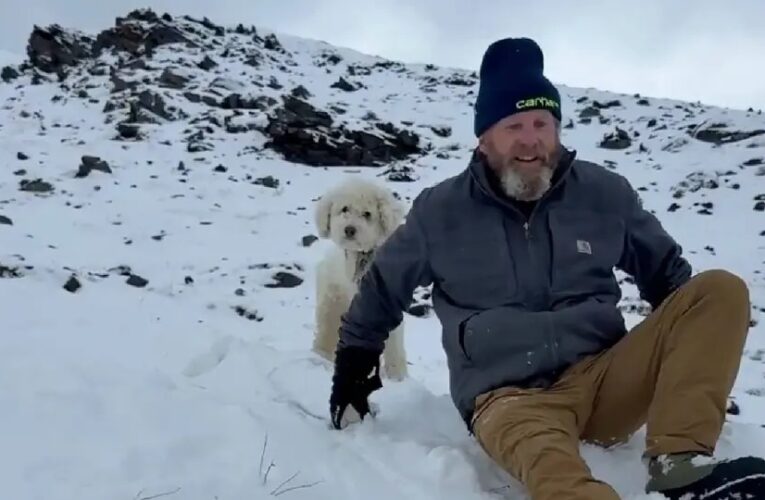Rescatan con vida a perrita tras 50 horas desaparecida en Alaska
